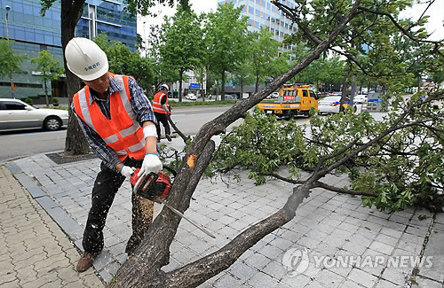 ▲ 28일 오후 서울 신사역 인근에서 강풍에 쓰러진 가로수를 구청 직원들이 정리하고 있다.ⓒ 사진 연합뉴스