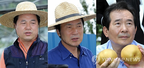 ▲ 민주통합당 김두관, 손학규, 정세균 대선 경선후보가 29일 태풍 볼라벤으로 피해를 입은 전북지역을 방문했다. ⓒ연합뉴스