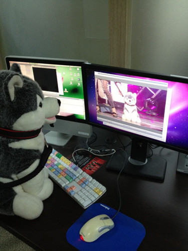 ▲ ⓒ유민상 트위터