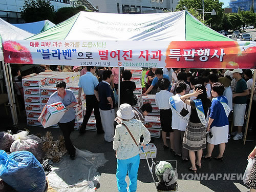 ▲ 31일 경남 창원에 있는 농협중앙회 경남본부 앞마당에서 태풍 피해 과수 농가를 돕기 위한 낙과 사과 특별판매 행사가 열리고 있다.ⓒ 사진 연합뉴스