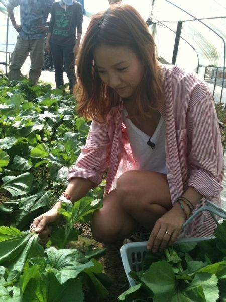 ▲ ⓒ이효리 트위터