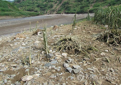 ▲ 조선신보 평양지국이 보내온 지난달 27일 평안남도 성천군 암포면 수해피해 현장의 모습. ⓒ 연합뉴스