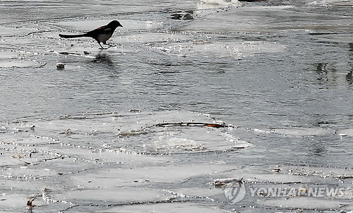 ▲ 기상청이 올 겨울 추위가 예년보다 빨리 올 것이란 전망을 내놨다.(자료사진)ⓒ 연합뉴스