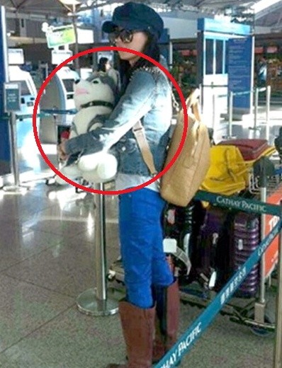 search_img