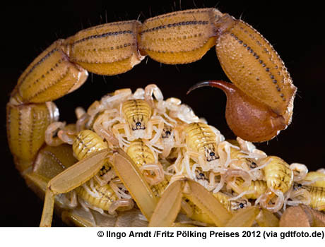 ▲ ⓒ콘테스트 홈페이지 내.