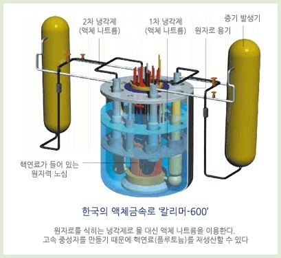 ▲ 개발 중인 한국형 액체금속로 '칼리머-600'.ⓒ 출처 한국원자력문화재단 운영 블로그 에너지플래닛