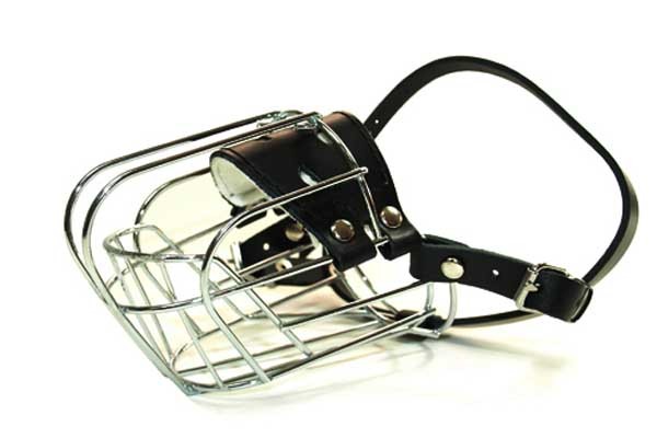 ▲ 맹견들에게 주로 채우는 입마개.