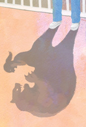 ▲ ⓒ조선일보 중.