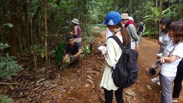 ▲ 관광객들이 가이드 프랑수와 씨로부터 고대식물에 관한 설명을 듣고 있다.
