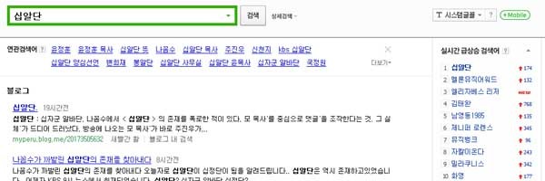 ▲ 국내 최대 포털 네이버에 '십알단'이 어제 일부 좌파 트위터리안의 '선동' 후 계속 상위권을 차지하고 있다.