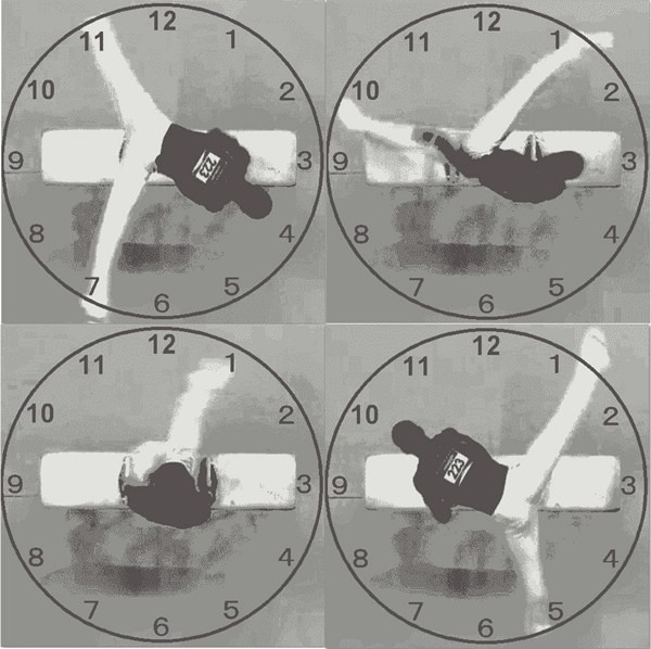 ▲ 주말이 지나가는 속도를 비유한 사진ⓒ온라인 커뮤니티