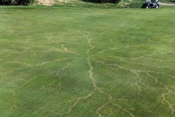 ▲ 번개가 골프장에 남긴 자국.