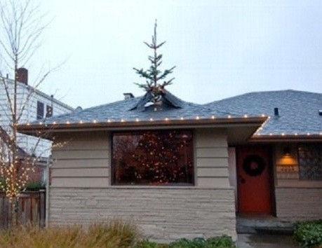 ▲ ⓒABC방송 보도 중.