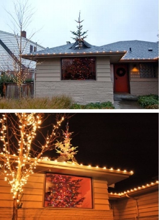 ▲ ⓒABC방송 보도 중.