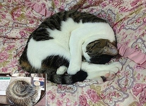 ▲ ⓒ온라인 커뮤니티