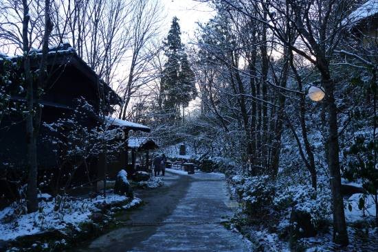 ▲ 료칸의 새벽 공기가 신선하다.