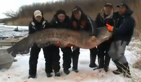 ▲ ⓒ유튜브 영상 중.