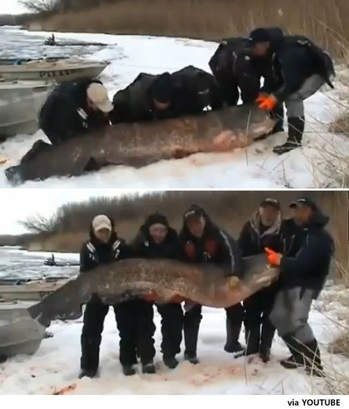 ▲ ⓒ유튜브 영상 중.