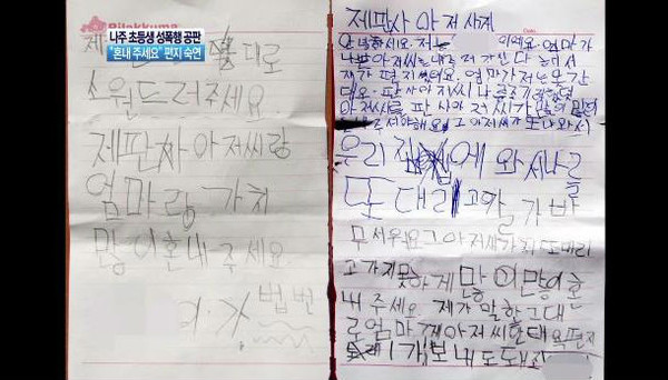 ▲ 채널A 방송 화면 캡처