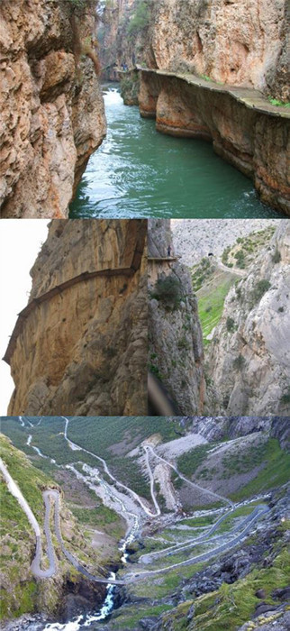 ▲ ⓒ온라인 커뮤니티