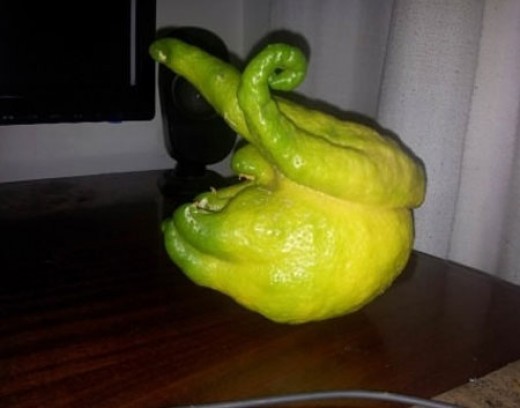 ▲ ⓒ온라인 커뮤니티