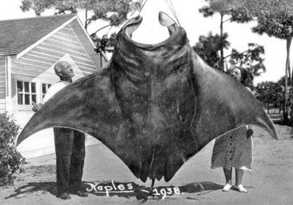 ▲ ⓒ미국 플로리다주 도서관이 공개한 사진 중.