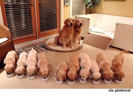 ▲ ⓒ해외 인터넷에 올라온 사진 중.