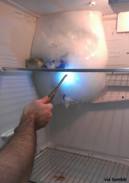 ▲ ⓒ냉장고 주인이 인터넷에 올린 사진 중.