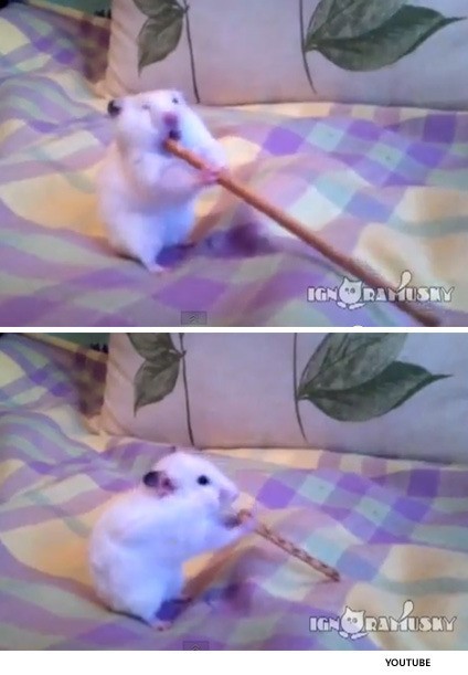 ▲ ⓒ유튜브 영상 중.