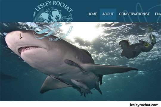 ▲ ⓒ환경운동가 레슬리 로챗의 홈피 중.