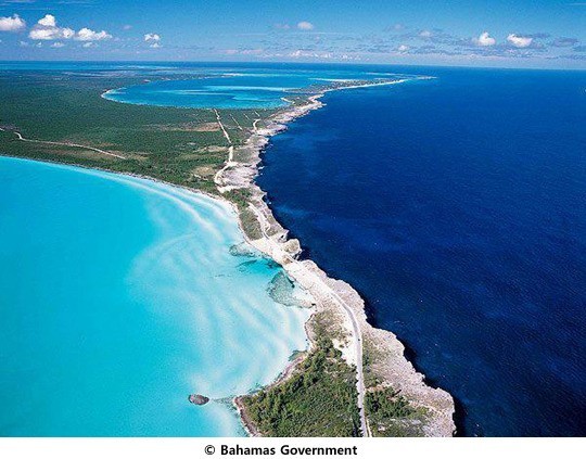▲ ⓒ바하마 정부의 홍보사이트 중.