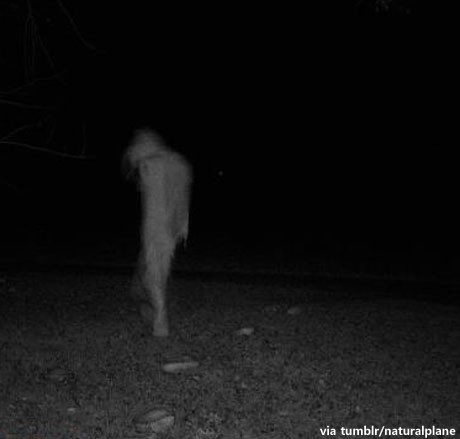 ▲ ⓒ해외 인터넷 중.