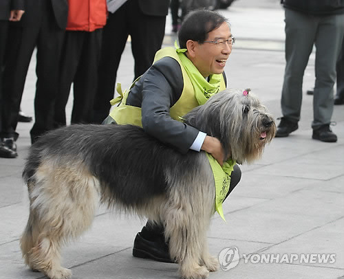 ▲ 2011년 10월 서울시장 보궐선거에 나선 박원순 후보가 지지자와 함께 나온 삽살개와 포즈를 취한 모습.ⓒ 연합뉴스