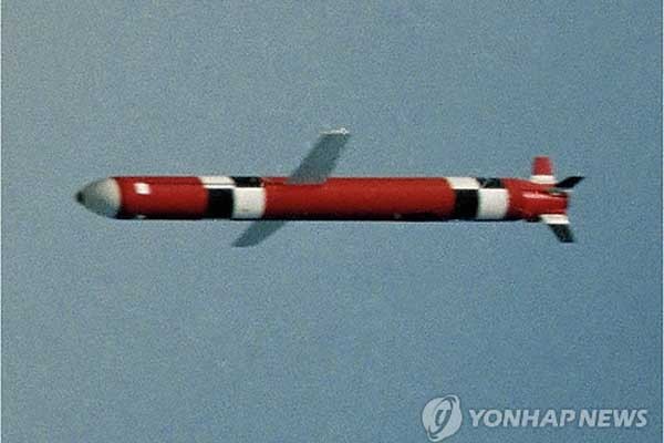 ▲ 순항미사일의 모습. 현무-3C도 이와 유사할 것으로 보인다.[사진: 연합뉴스]