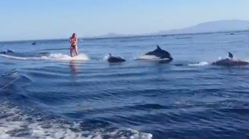 ▲ ⓒ유튜브 영상 중.