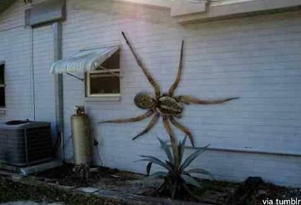 ▲ ⓒ해외 인터넷 사이트 중.