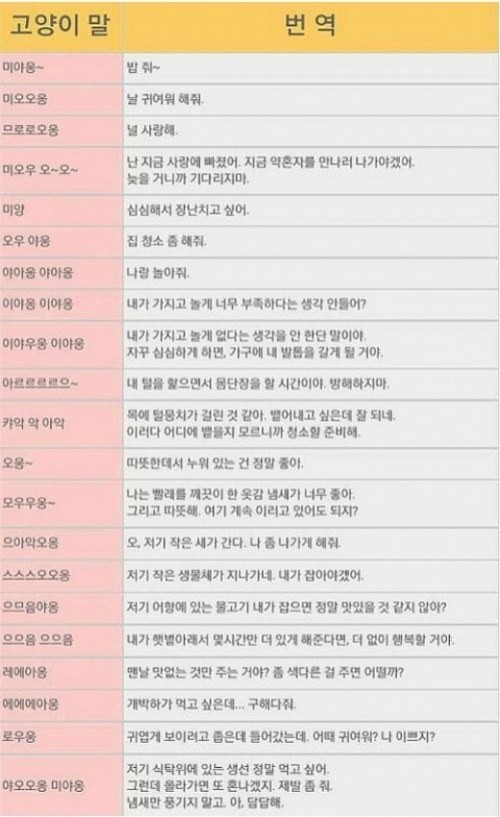 ▲ ⓒ온라인 커뮤니티