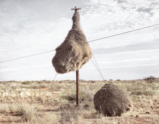 ▲ ⓒ허핑턴포스트 보도 중.