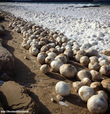 ▲ ⓒ해외 패이스북에 올라온 사진 중.