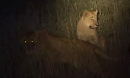 ▲ ⓒ유튜브 영상 중.