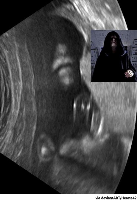 ▲ ⓒ작가가 공개한 사진 중.