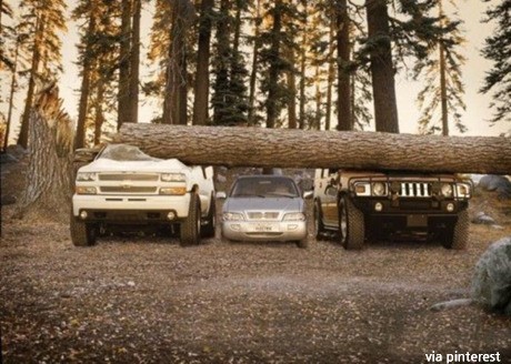 ▲ ⓒ해외 인터넷에 올라온 사진 중.