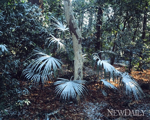 ▲ 사진의 길-건물#02(12.3m), C-Print, 2010 ⓒ 박진영