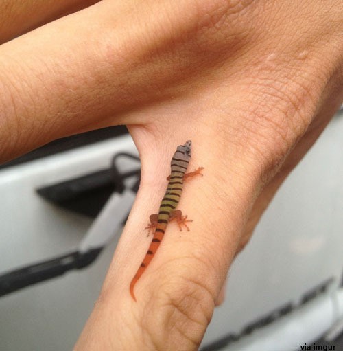 ▲ ⓒ해외 인터넷에 올라온 사진 중.