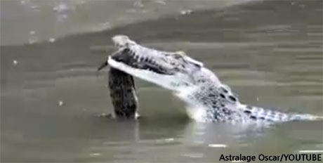 ▲ ⓒ유튜브에 올라온 영상 중.