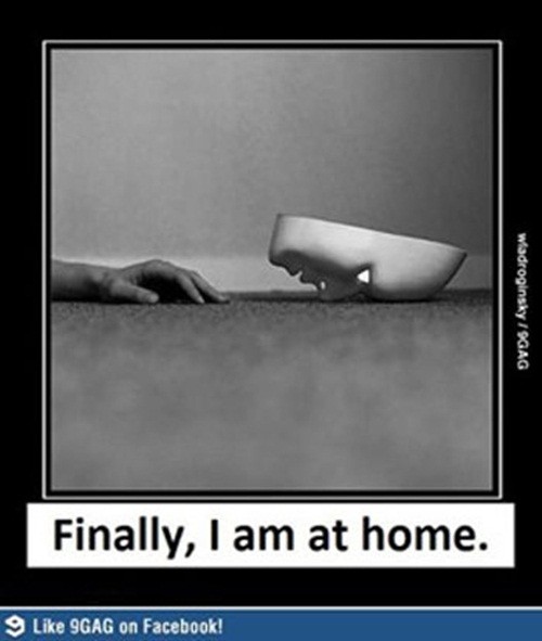 search_img