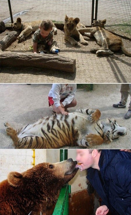 ▲ ⓒ루한 동물원 자료 중.