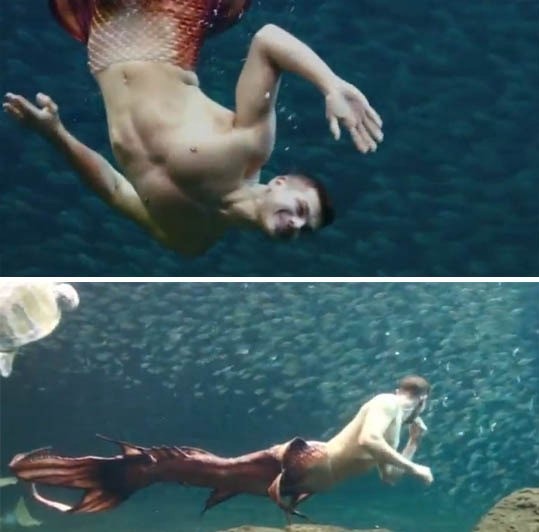 ▲ ⓒ유튜브 영상 중.