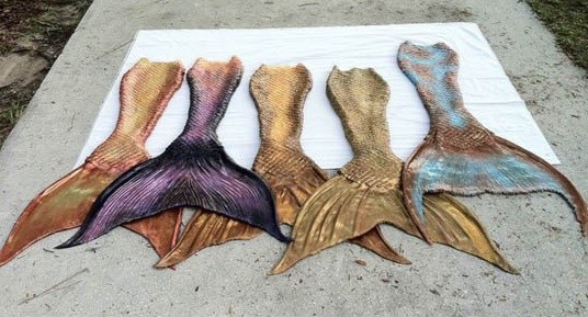 ▲ ⓒ유튜브 영상 중.