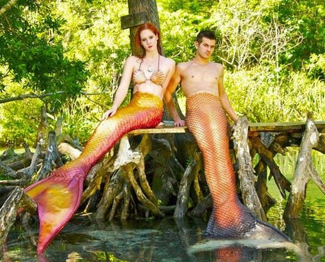 ▲ ⓒ유튜브 영상 중.